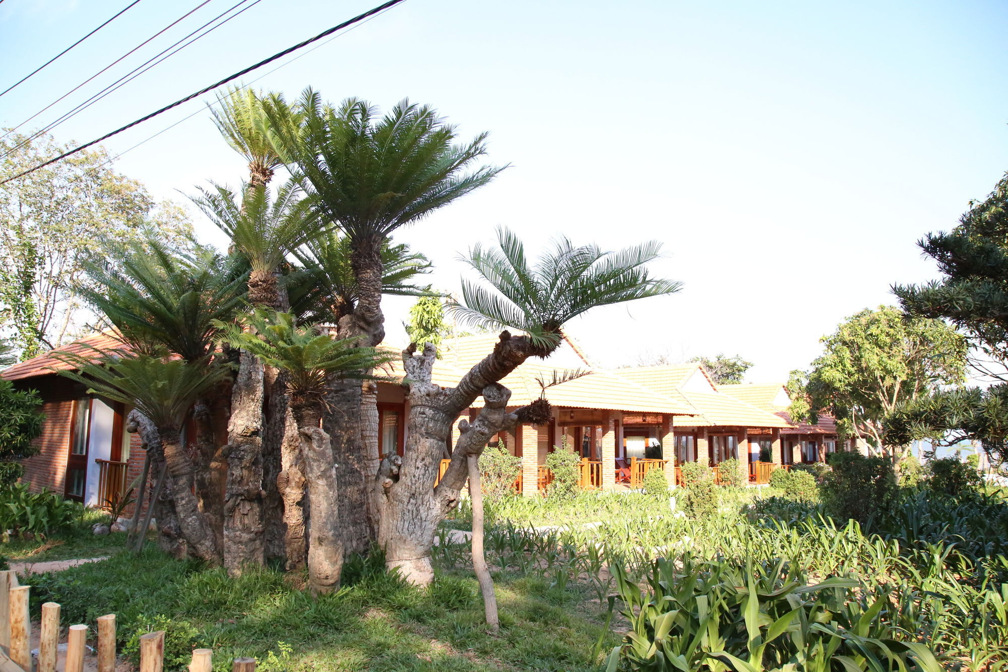 Wildland Resort Phu Quoc Extérieur photo